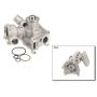 Autopart International Water Pump 160066590
