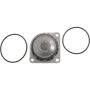 Autopart International Water Pump 160066667