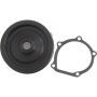 Autopart International Water Pump 160066681