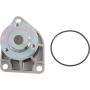Autopart International Water Pump 160066696