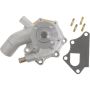 Autopart International Water Pump 160066986