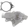 Autopart International Water Pump 160067532