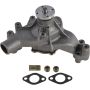 Autopart International Water Pump 160067619