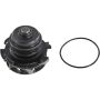 Autopart International Water Pump 160068027