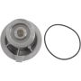 Autopart International Water Pump 160068066