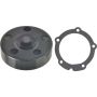 Autopart International Water Pump 160083145