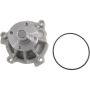Autopart International Water Pump 160093988