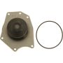 Autopart International Water Pump 160093999
