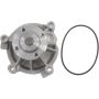 Autopart International Water Pump 160094084