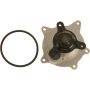 Autopart International Water Pump 160094097