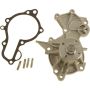 Autopart International Water Pump 160097519