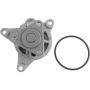 Autopart International Water Pump 160098066