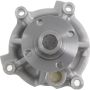 Autopart International Water Pump 160098067
