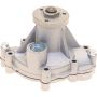 Autopart International Water Pump 160098072