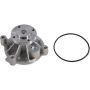 Autopart International Water Pump 160098850