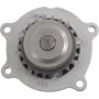 Autopart International Water Pump 160099078