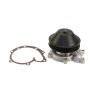 Autopart International Water Pump 160099537