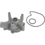 Autopart International Water Pump 160099541