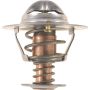 Autopart International Thermostat 160124243