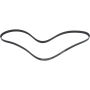 Autopart International Drive Belt 1602326224