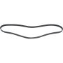 Autopart International Drive Belt 1602335220