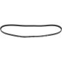 Autopart International Drive Belt 1602360026