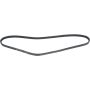 Autopart International Drive Belt 1602360034