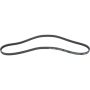 Autopart International Drive Belt 1602360035