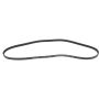 Autopart International Drive Belt 1602360042