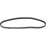 Autopart International Drive Belt 1602360077