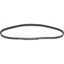 Autopart International Drive Belt 1602360079