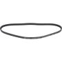 Autopart International Drive Belt 1602360085