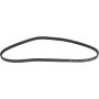 Autopart International Drive Belt 1602360090