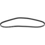 Autopart International Drive Belt 1602360098