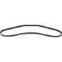 Autopart International Drive Belt 1602360100