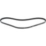 Autopart International Drive Belt 1602360113