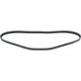 Autopart International Drive Belt 1602360115
