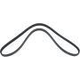 Autopart International Drive Belt 1602360118