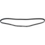 Autopart International Drive Belt 1602360128