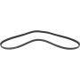 Autopart International Drive Belt 1602360129