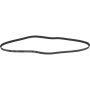 Autopart International Drive Belt 1602360137