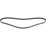 Autopart International Drive Belt 1602360139