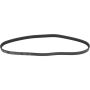 Autopart International Drive Belt 1602360179