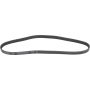 Autopart International Drive Belt 1602360181