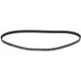 Autopart International Drive Belt 1602360189