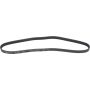 Autopart International Drive Belt 1602360193