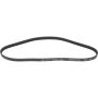 Autopart International Drive Belt 1602360194