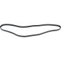 Autopart International Drive Belt 1602360261
