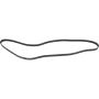 Autopart International Drive Belt 1602360298