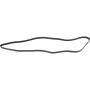 Autopart International Drive Belt 1602360308